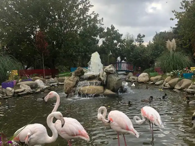 DoğaKöyü Çatalca'nin yemek ve ambiyans fotoğrafları 4