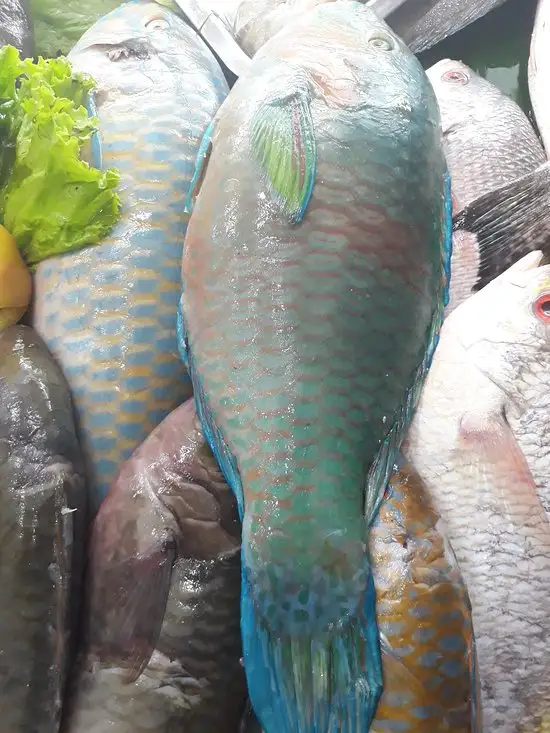 Gambar Makanan Ikan Bakar Katombo 8