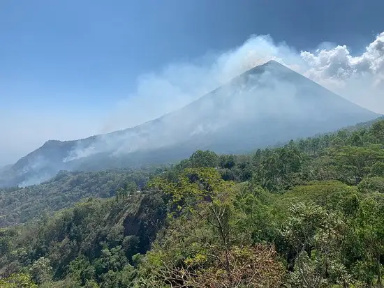 Gambar Makanan Milonari 6