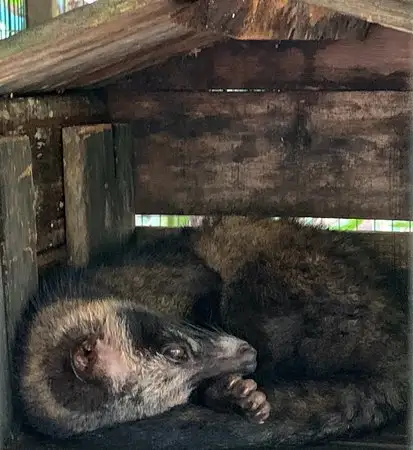 Gambar Makanan Jati Harum Bali 5