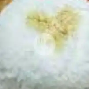 Gambar Makanan nasi bebek madura cak acong 10