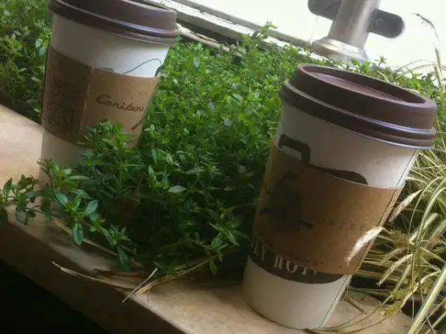 Caribou Coffee'nin yemek ve ambiyans fotoğrafları 4