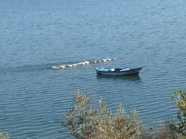 Hazalım'nin yemek ve ambiyans fotoğrafları 3