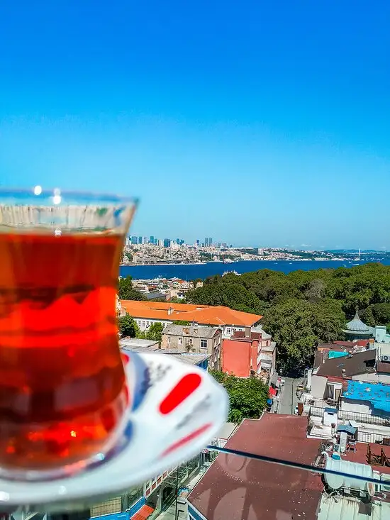 Panoramic Restaurant'nin yemek ve ambiyans fotoğrafları 54