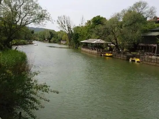 Tree Tops Park Restaurant'nin yemek ve ambiyans fotoğrafları 3