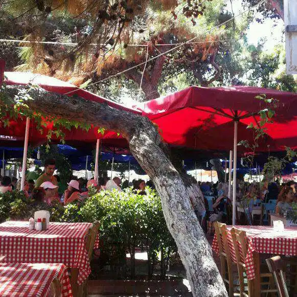 Çamlık Restaurant Hafız'ın Yeri'nin yemek ve ambiyans fotoğrafları 8