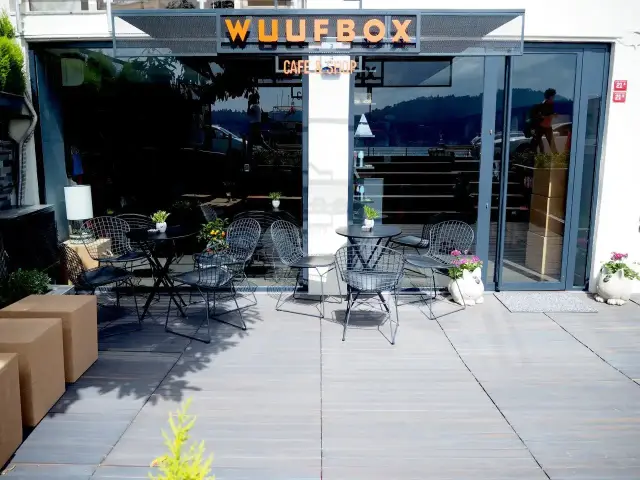 Wuufbox Cafe & Shop'nin yemek ve ambiyans fotoğrafları 19