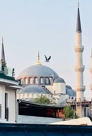 KARİNA MEZE BALIK