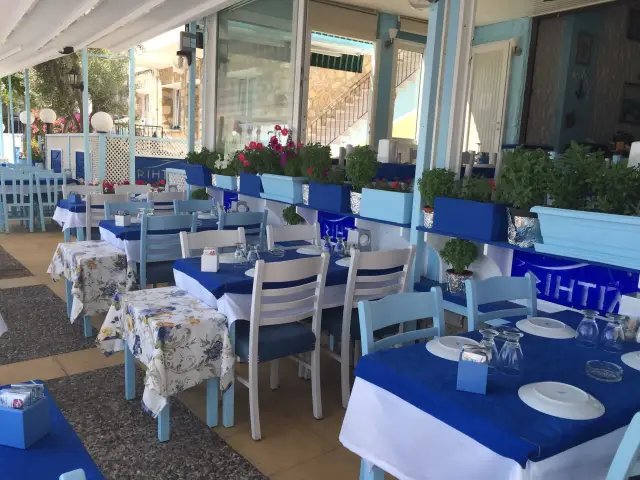 Rıhtım Restaurant'nin yemek ve ambiyans fotoğrafları 2