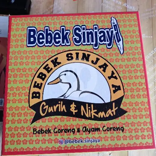 Gambar Makanan Bebek Sinjaya, Mistar Cokrokusumo 10