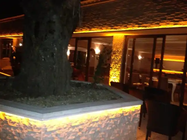 Haylayf Restaurant'nin yemek ve ambiyans fotoğrafları 1