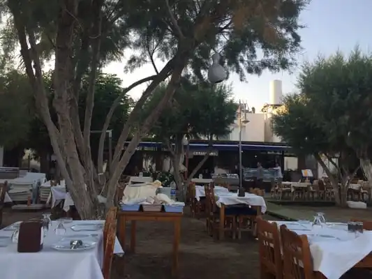 Gebora Fish Restaurant'nin yemek ve ambiyans fotoğrafları 2