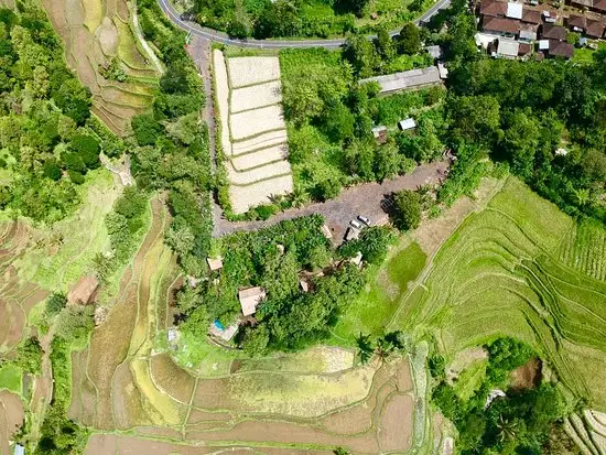 Gambar Makanan Jati Harum Bali 9