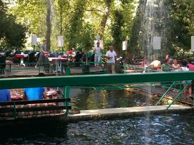 Ulupınar Şelale Restaurant'nin yemek ve ambiyans fotoğrafları 6