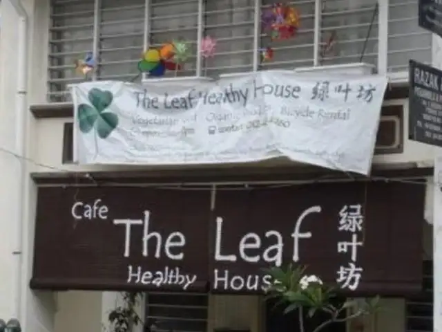 The Leaf Healthy House