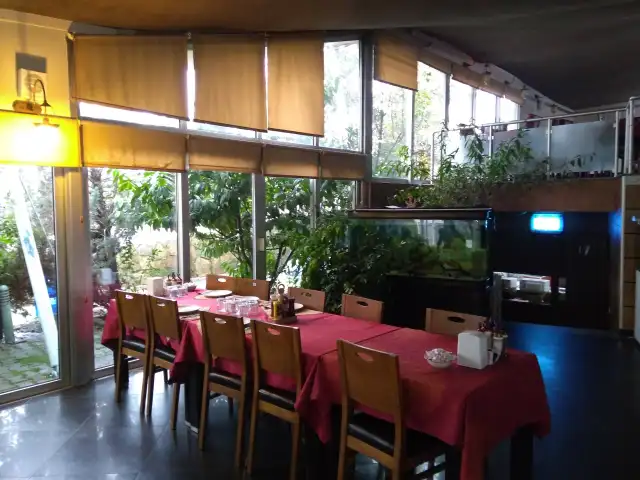 Bizim Ev Restaurant'nin yemek ve ambiyans fotoğrafları 6