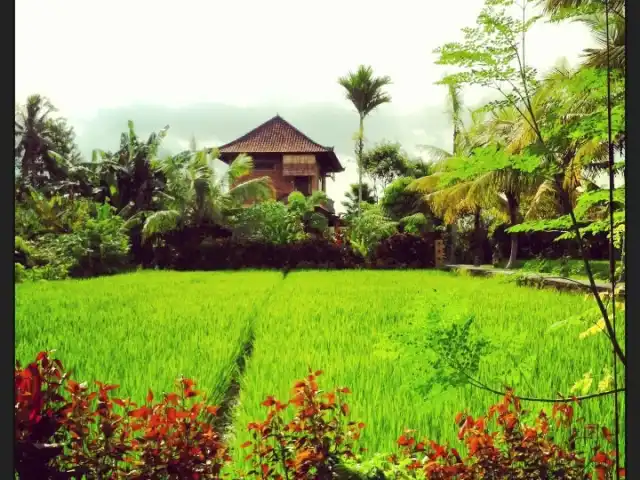 Gambar Makanan Adi asri restaurant ubud 14