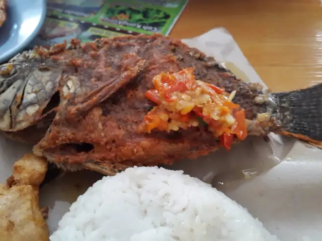 Gambar Makanan Ayam Bakar KQ5 11