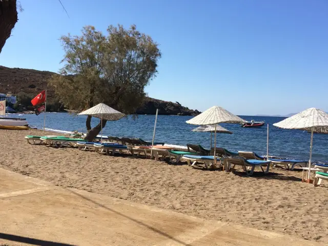 Arriba Beach Restaurant'nin yemek ve ambiyans fotoğrafları 5