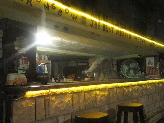 Mehmet's Bar'nin yemek ve ambiyans fotoğrafları 11