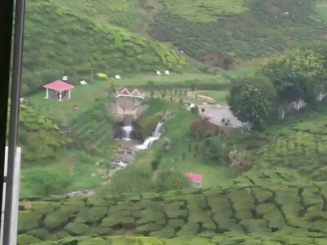 Bharat Tea Plantation Food Photo 5