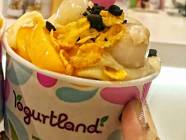 Gambar Makanan Yogurtland 10