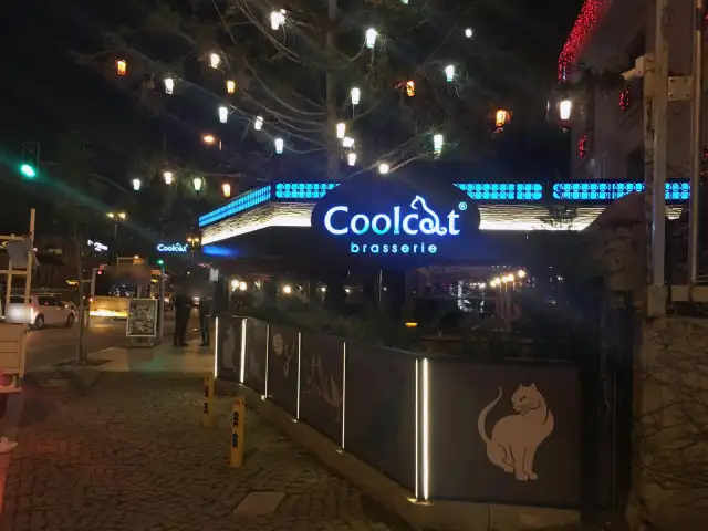 Coolcat Brasserie'nin yemek ve ambiyans fotoğrafları 4