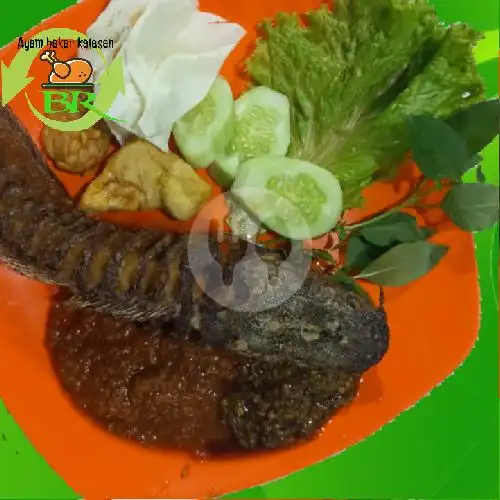 Gambar Makanan Ayam Bakar Kalasan BR 9