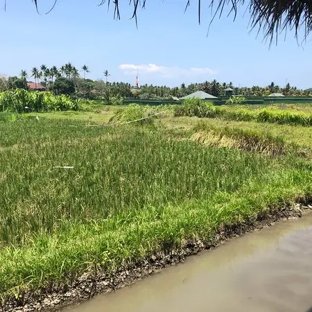 Gambar Makanan Warung Uma Menuh 3