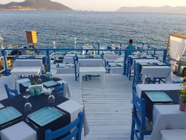 Sardelaki Greek Tavern'nin yemek ve ambiyans fotoğrafları 4