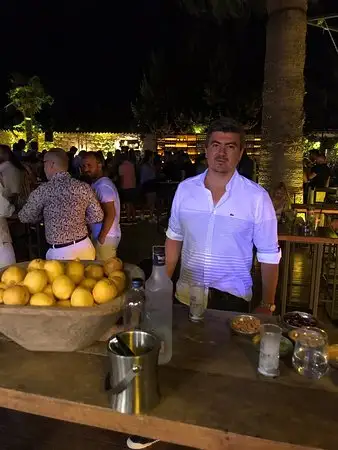 Limon Koyiçi