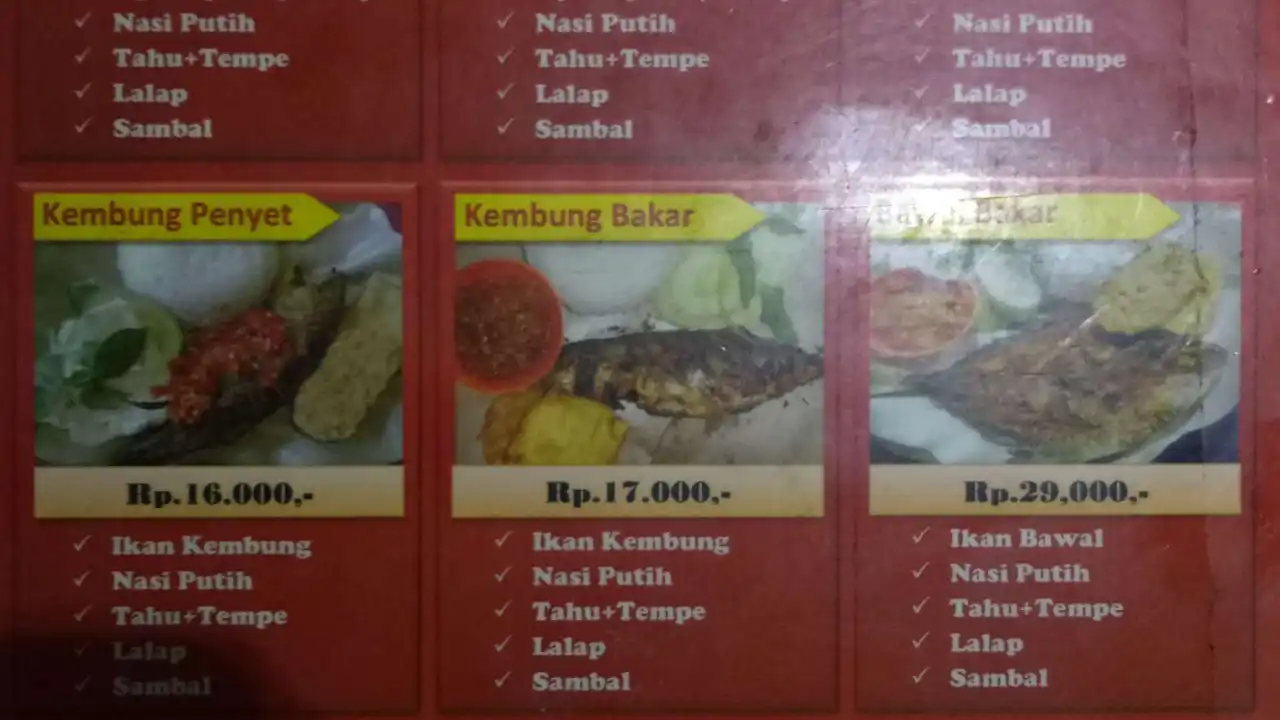 Ayam Penyet Ani - Ani Purwokerto