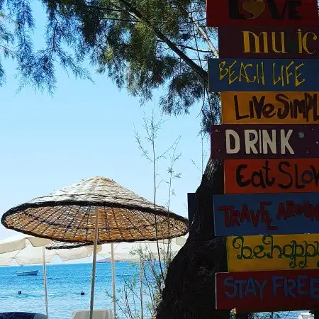 Dalga BeachDalga Beach Bar Grill'nin yemek ve ambiyans fotoğrafları 23