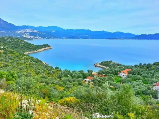 Lütfiye Teyzenin Yeri'nin yemek ve ambiyans fotoğrafları 4