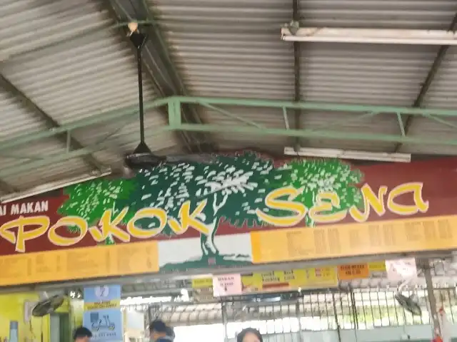 Nasi Beryani Pokok Sena