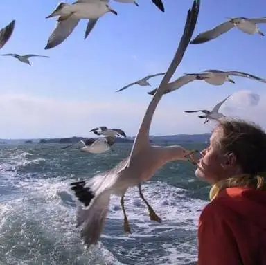 Birtek Kahvaltıcım'nin yemek ve ambiyans fotoğrafları 5