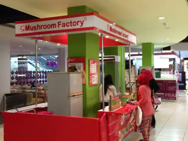 Mushroom Factory