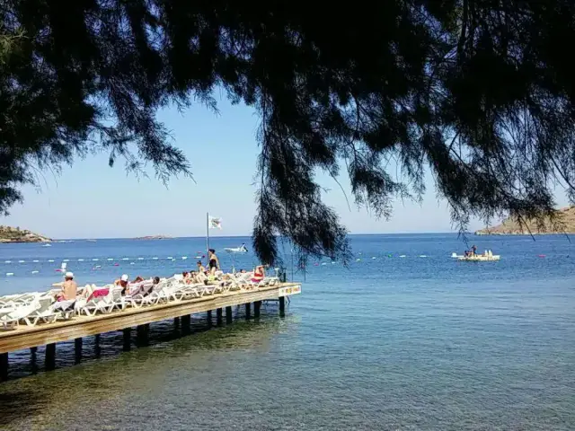 Magi Beach'nin yemek ve ambiyans fotoğrafları 5