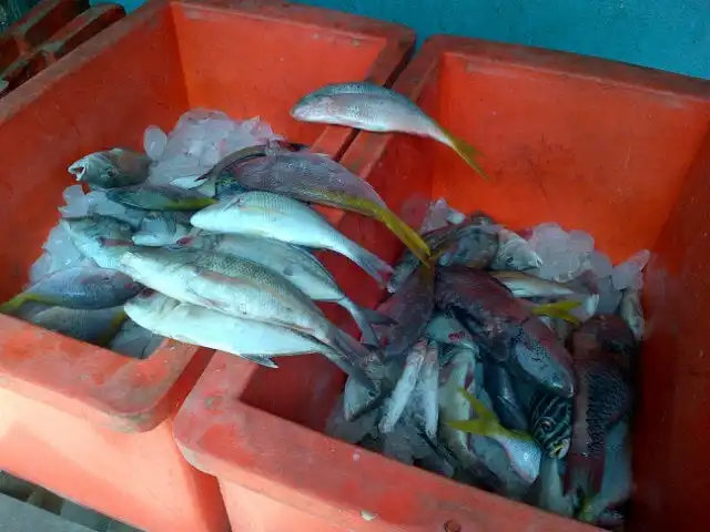 Gambar Makanan Lesehan Ikan Bakar Tanjung Alam 5