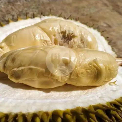 Gambar Makanan Horas Bintang Durian 19
