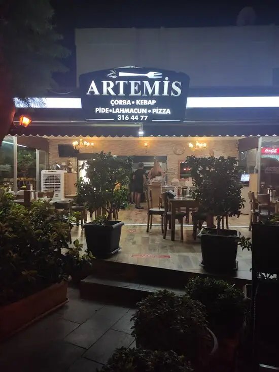 Artemis Restaurant'nin yemek ve ambiyans fotoğrafları 17