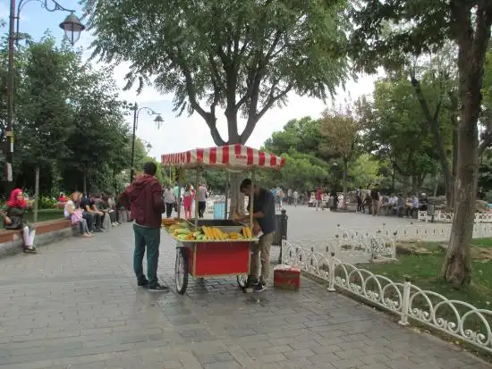 Baran Ottoman Kitchen'nin yemek ve ambiyans fotoğrafları 39