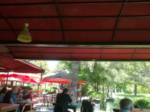 Burhan Çardak Cafe'nin yemek ve ambiyans fotoğrafları 3