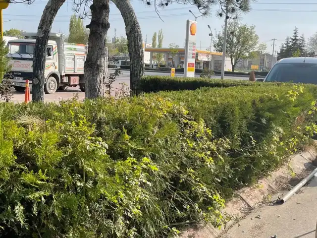 Mola Çıtır Simit'nin yemek ve ambiyans fotoğrafları 2