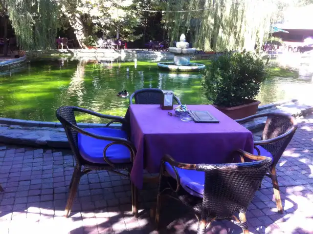 Feza Çay Bahçesi'nin yemek ve ambiyans fotoğrafları 10