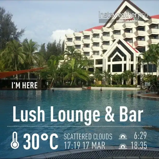 Lush Lounge & Bar Food Photo 8