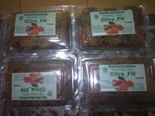 Camilan Tradisional CITRA FH