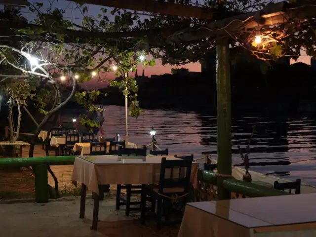 River Garden Restaurant'nin yemek ve ambiyans fotoğrafları 8