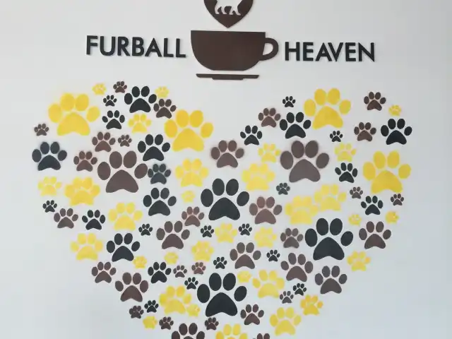 Furball Heaven Food Photo 13