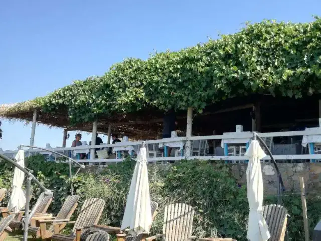 Ali Baba Restaurant'nin yemek ve ambiyans fotoğrafları 3